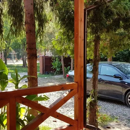 Apartment Parkowy *